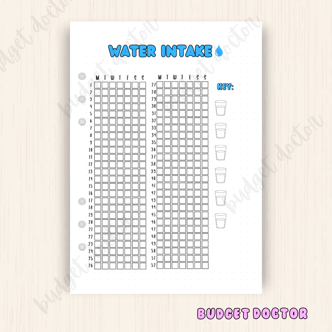 Water Intake | Yearly Journal Insert